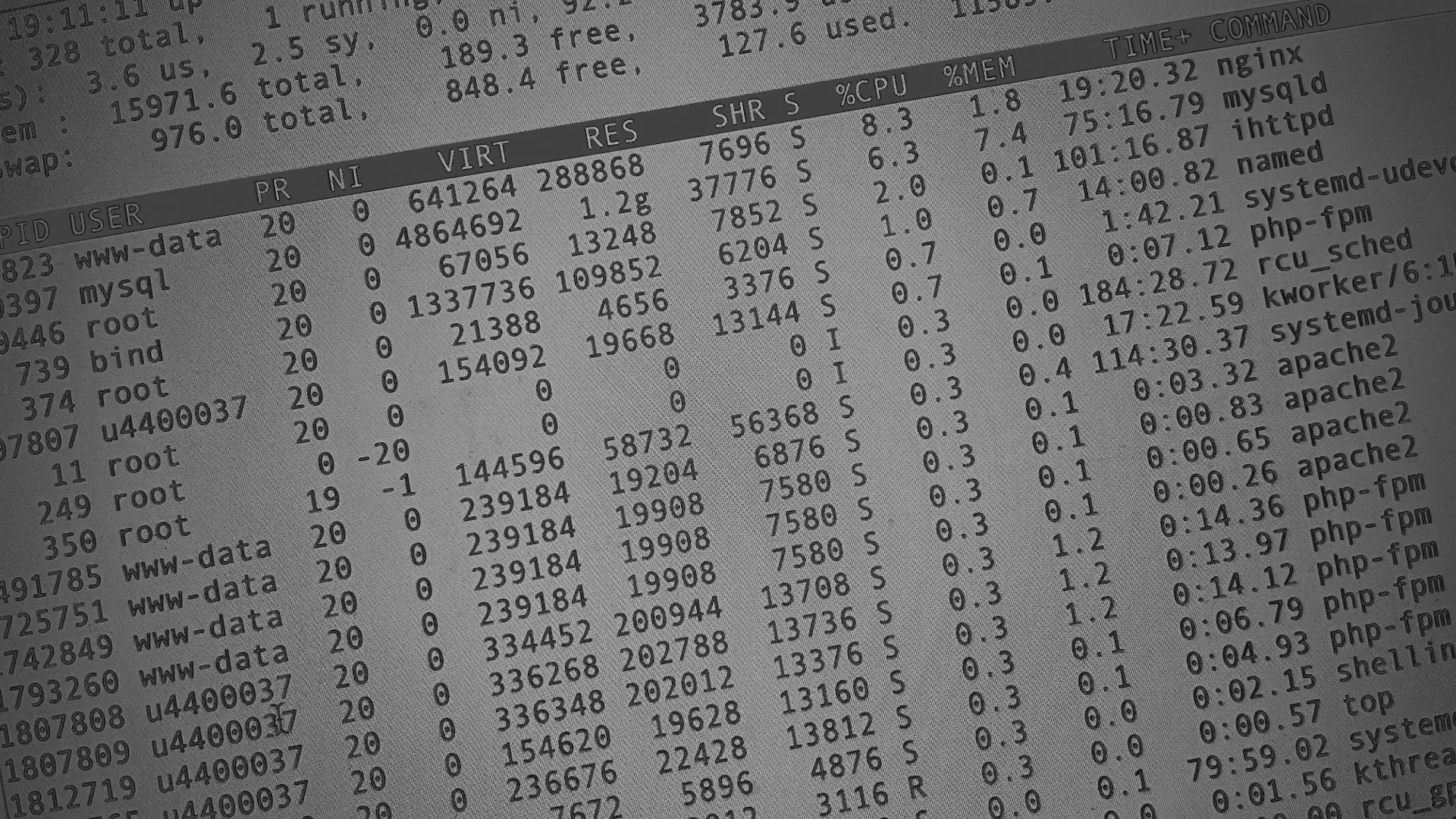 Настройка сервера в Новосибирске