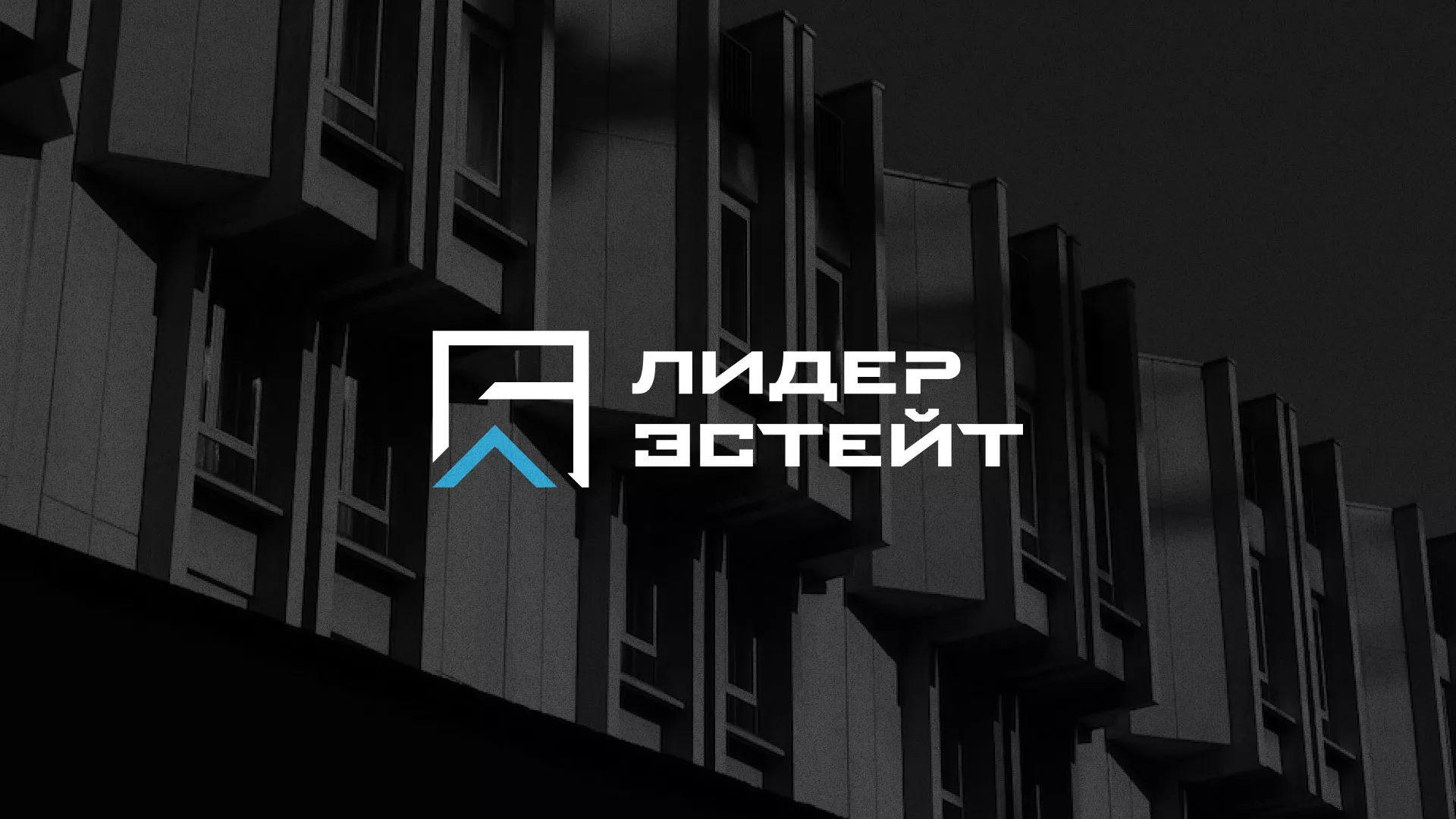 Разработка логотипа агентства недвижимости «Лидер Эстейт» в Новосибирске