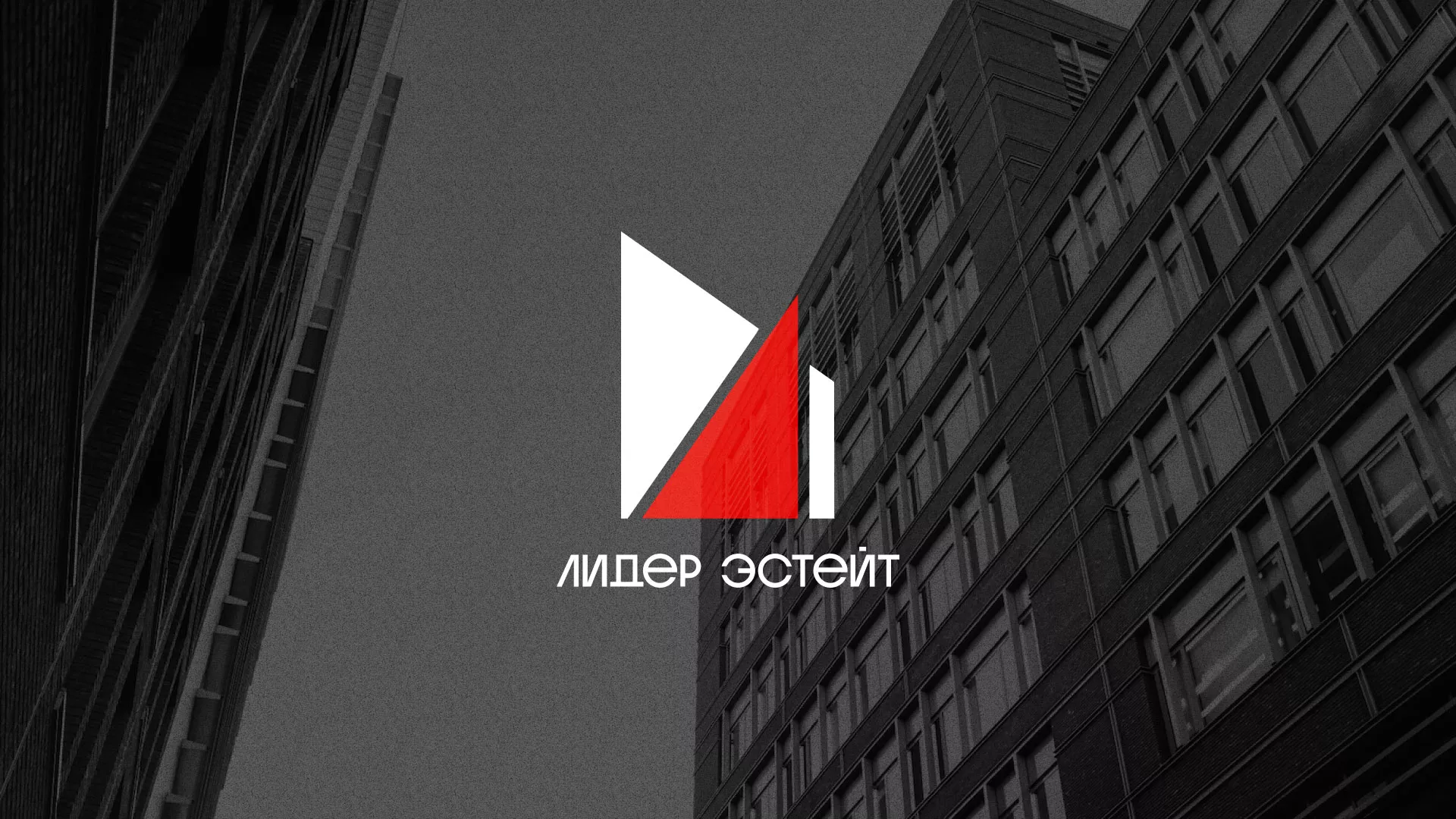 Сделали логотип для агентства недвижимости «Лидер Эстейт» в Новосибирске